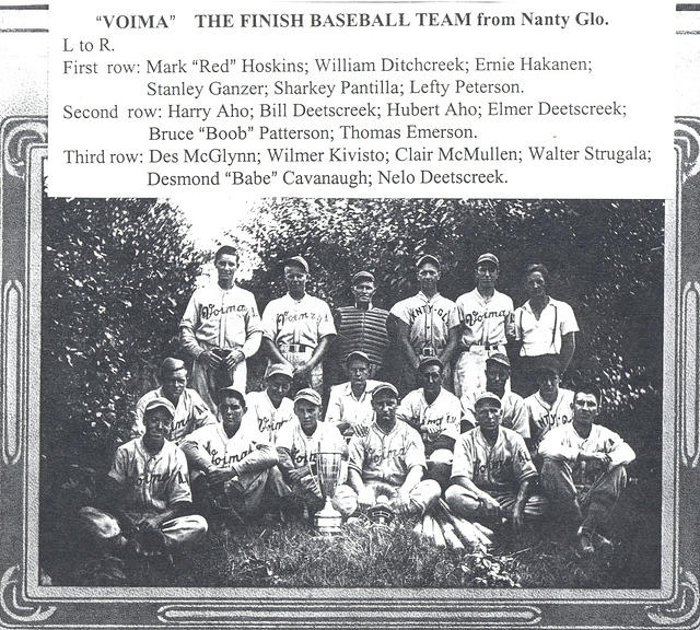 Voima Baseball Team