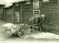 Old-Rinta-Valkama 1942,1958 Horse by Farm house