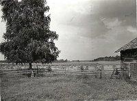 Old-Rinta-Valkama 1942,1958 farm yard 2